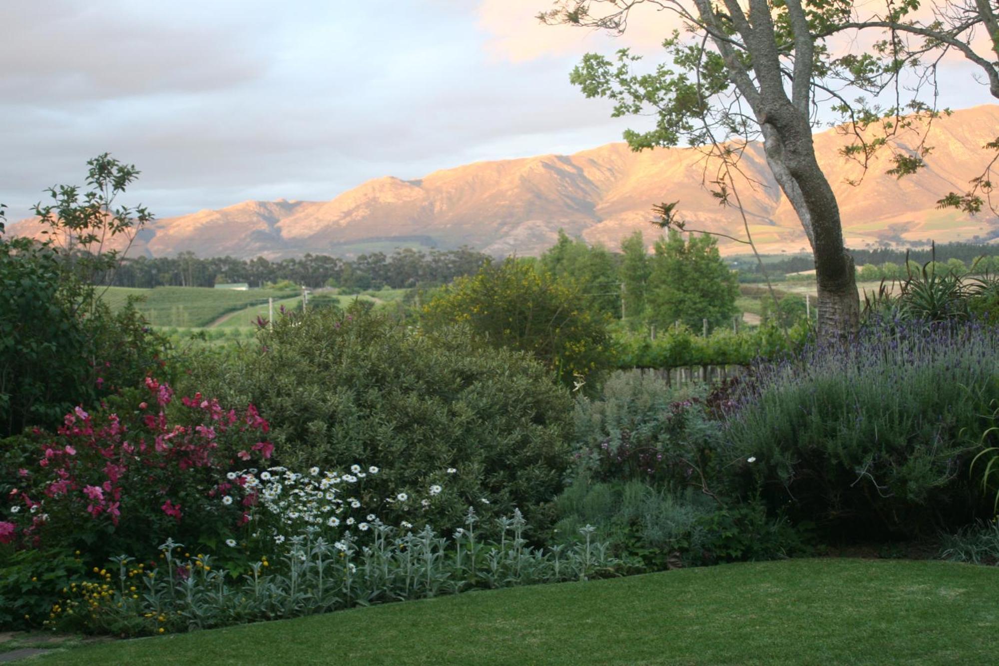 Belfield Wines&Farm Cottages Grabouw Exterior foto